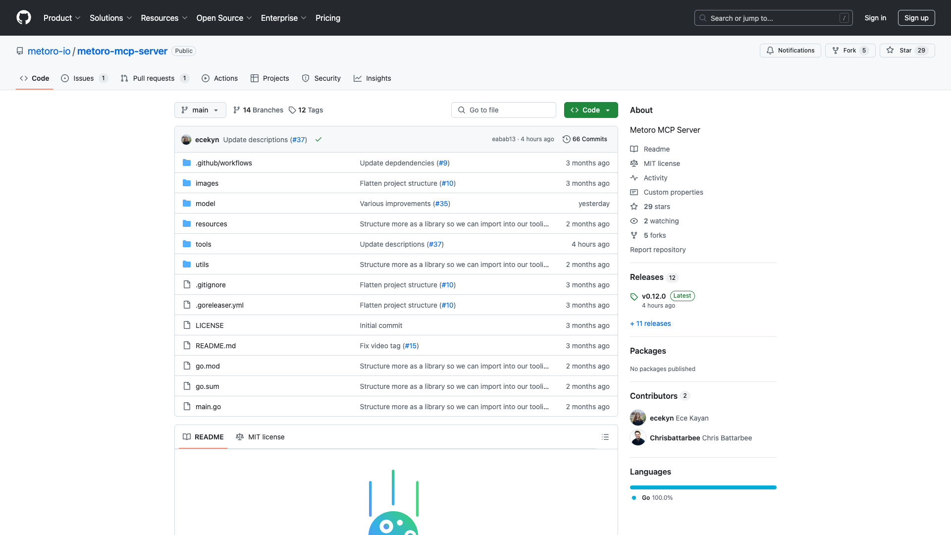 Metoro MCP Server Review